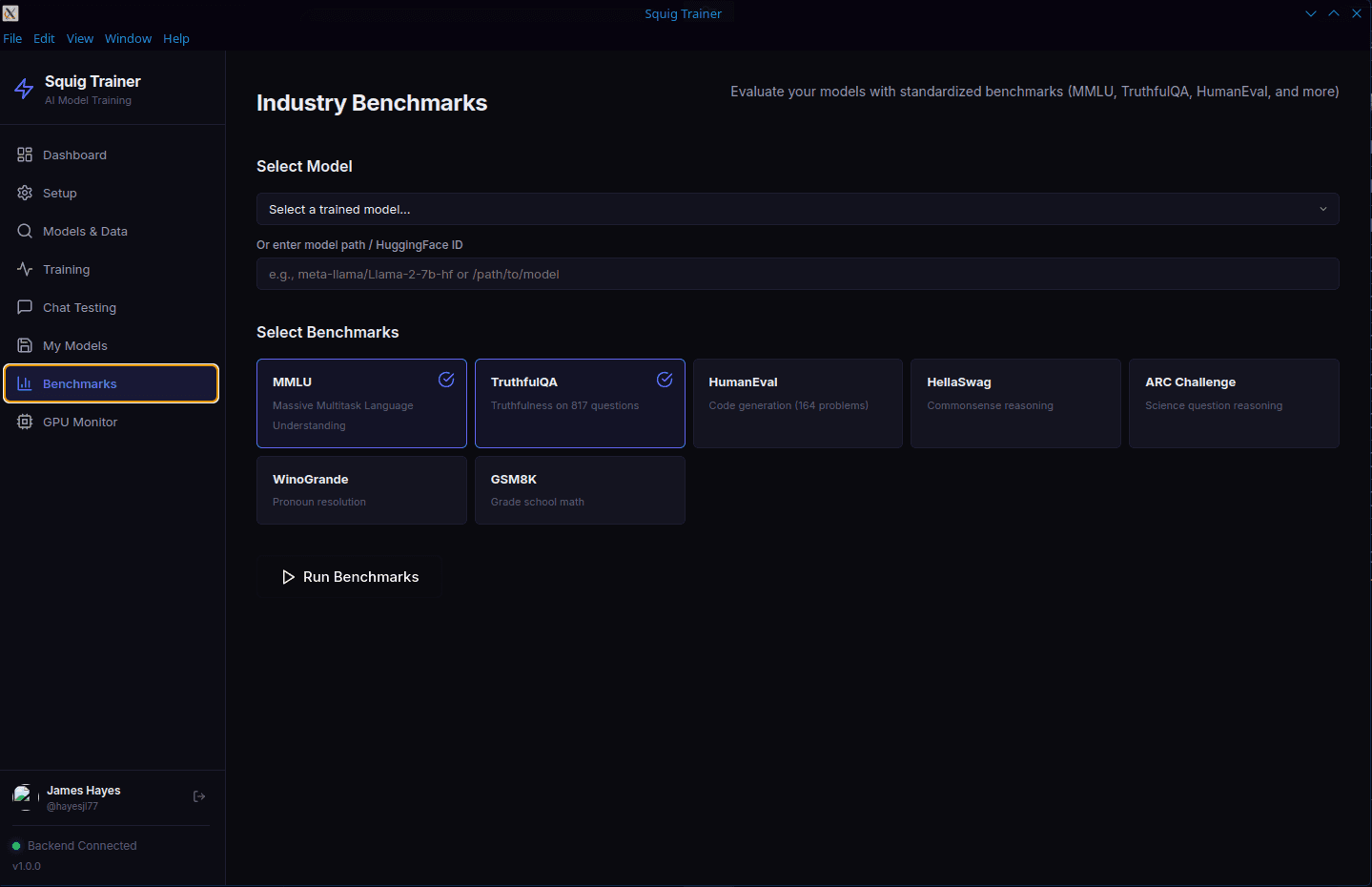 Squig Trainer — Loss curves and metrics
